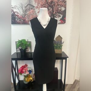 Ann Taylor Women’s Petite Sheath Dress Size O Sleeveless Zipper Back V Neck